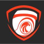 TRUSTED EAGLE SECURITY